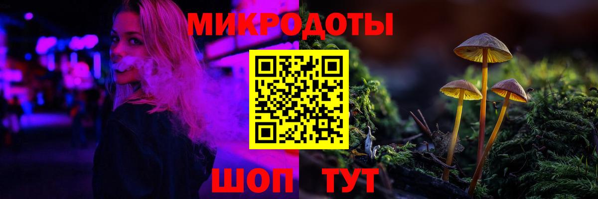 Псилоцибиновые грибы MAGIC MUSHROOMS Карталы